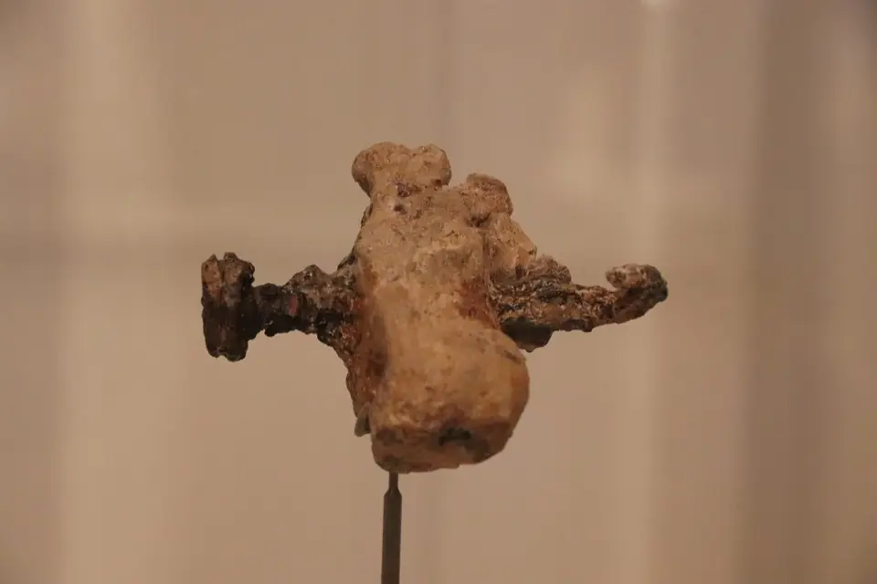 钉着铁钉的跟骨(复制品)
